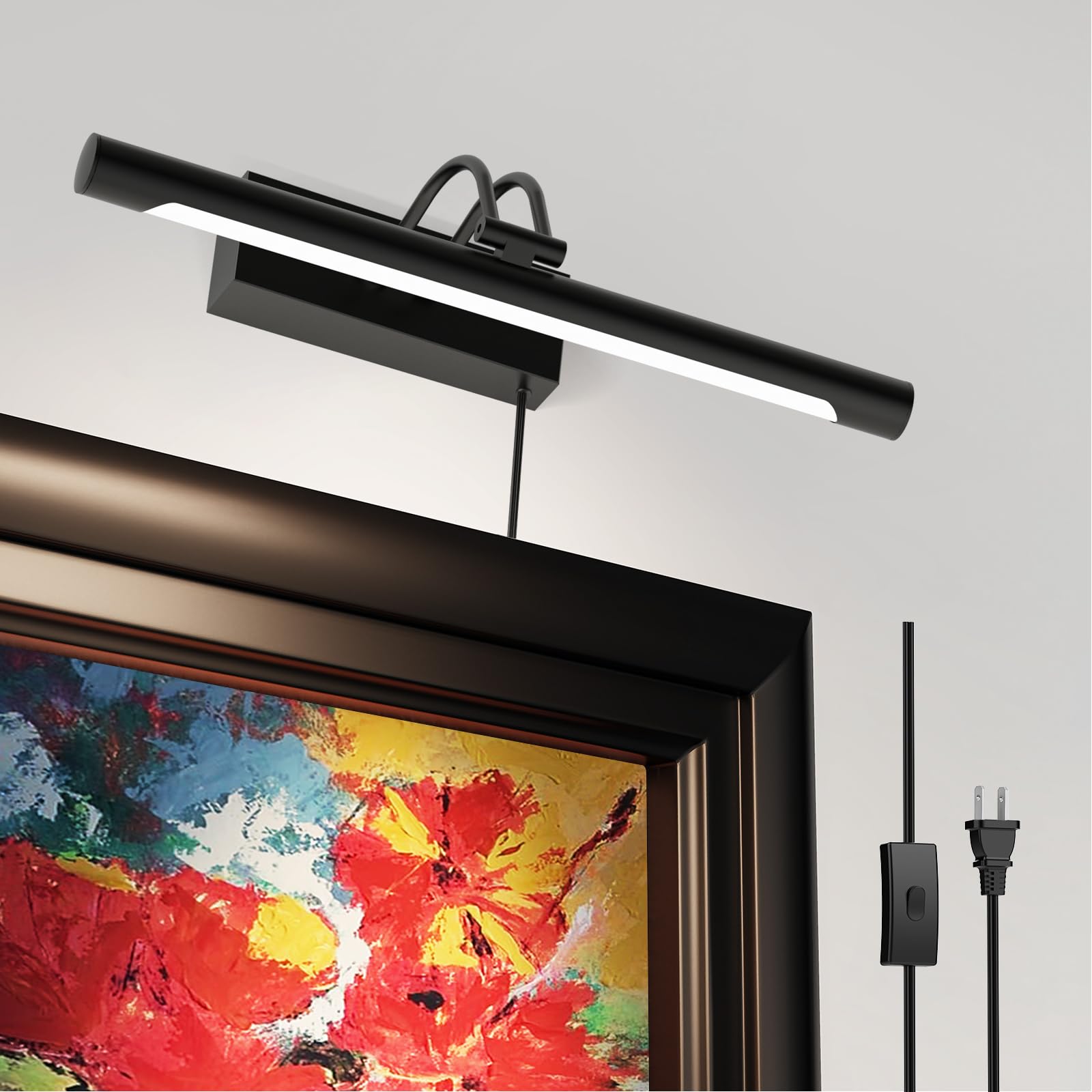 Plug in-PICTURE LIGHT