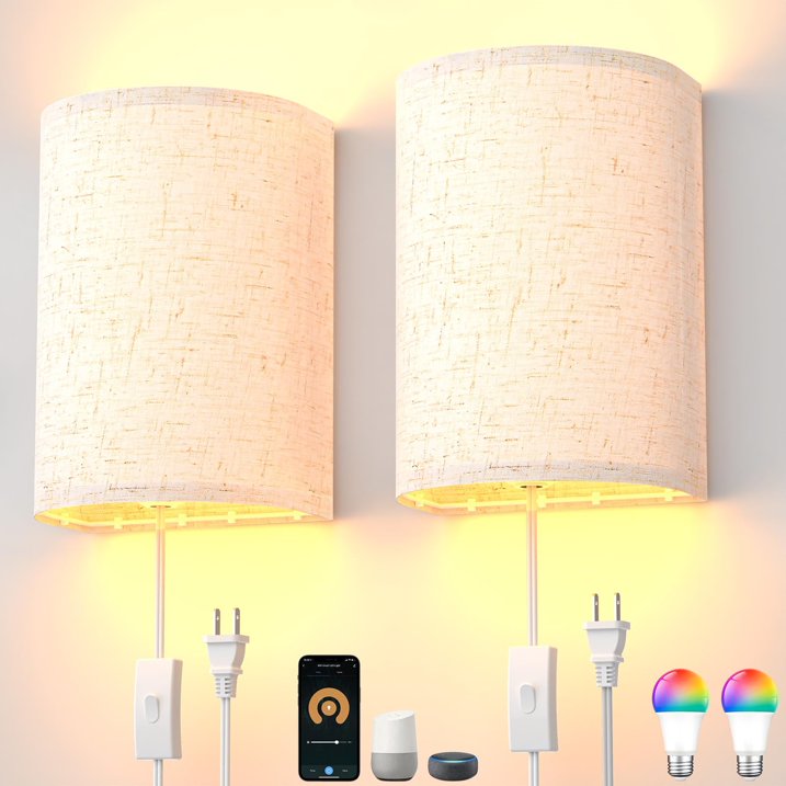 Plug-in Wall Light with RGB color changing and dimmable lighting – HUDYOGY