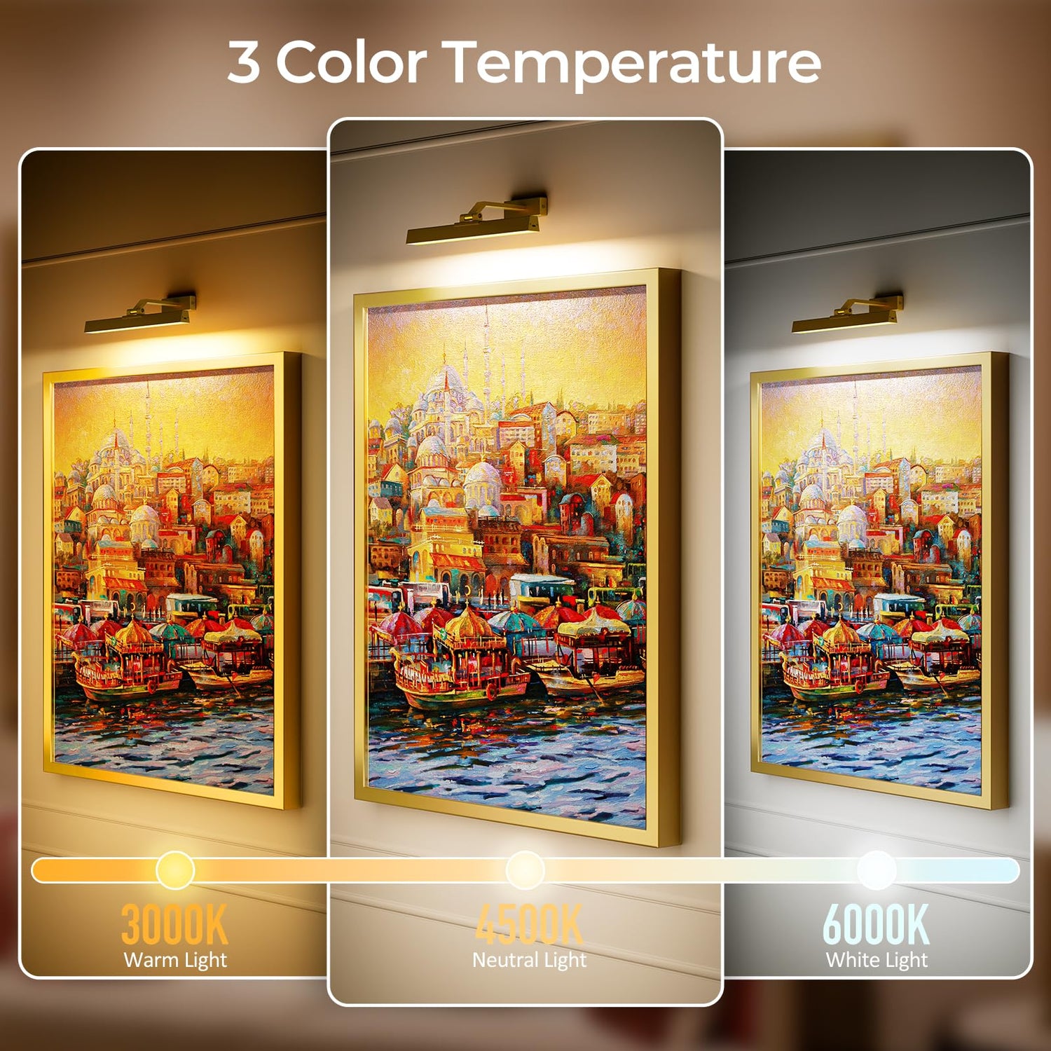 Picture Lights for Wall, Battery Operated Picture Light 16in Gallery Light for Paintings CCT Dimmable Recharging Battery Wall Light with Remote Control for Living Room Gallery Dartboard Art 2PCS