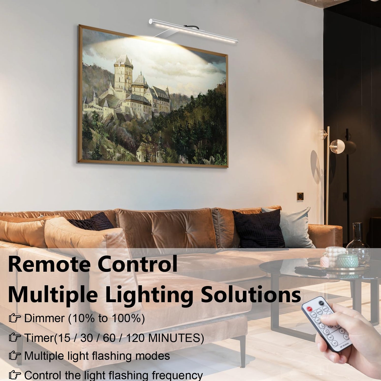 Picture Lights for Wall Plug in or Hardwired,3000K Warm White Dart Board Lights with Remote,12.5inches Silver LED Art Light Dimmbare mit Timer for Gallery Paintings Picture Dartboard